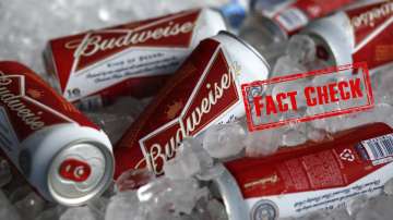 budweiser,pissing meaning,budweiser news,budweiser admits several employees peeing,budweiser employe