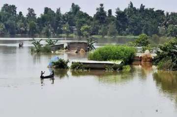 22 of 33 Assam districts affected by flood, death toll rises to 34