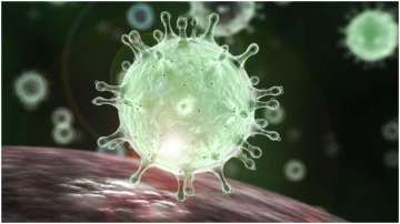 COVID-19 pandemic may lead to surge in HIV, TB, malaria deaths: Lancet study