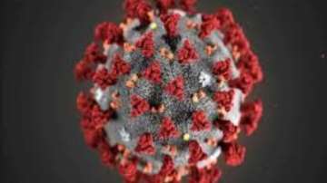 Researchers develop coating that kills coronavirus in 1 hour
