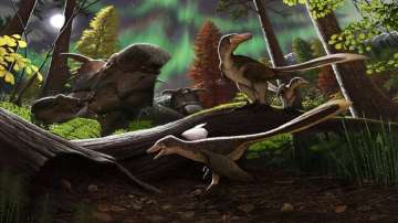 Rare fossil of dinosaur found in Alaska may alter your idea of dinosaurs from Jurassic Park