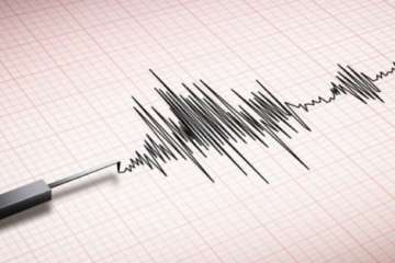 Magnitude-6.1 earthquake jolts Singapore (Representational image)