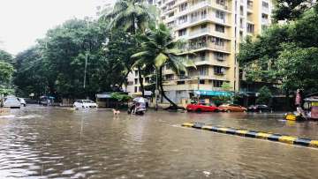 Water-logging and incidents of tree/branch falling were reported in Mumbai, causing traffic jams. In
