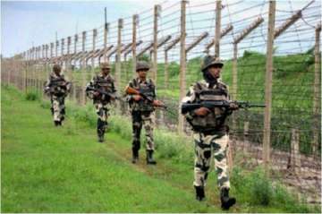 Nepal police open fire at border, 1 Indian civilian injured