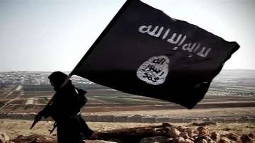 ‘Significant numbers’ of ISIS terrorists in Kerala, Karnataka: UN report