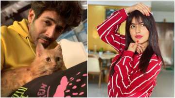 Kartik Aaryan's comment on Shehnaaz Gill's picture takes the internet by storm