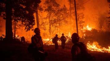 Wildfire in US state scorches over 17,600 acres (Representational image)