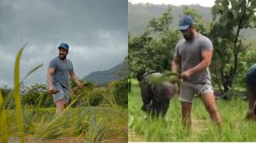 Watch video Salman Khan enjoys planting rice with Iulia Vantur and others at Panvel farmhouse. Super