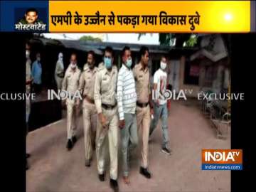 Most wanted gangster Vikas Dubey has been arrested in Ujjain