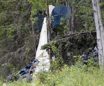 A plane rests in brush and trees after a midair collision outside of Soldotna, Alaska, on Friday, Ju