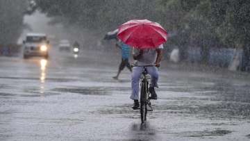 Light rain likely in Delhi over next 2 days: IMD