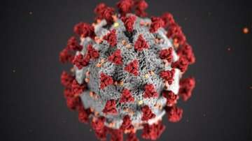 High humidity can extend lifetime of virus-laden aerosol droplets: Study