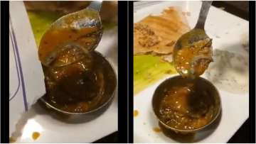 Muh se nikala hai yeh bite: Delhi man finds lizard in sambar at Saravana Bhavan restaurant, shares v