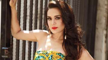 Preity Zinta completes 22 years in Bollywood, actress says 'Dreams do come true'