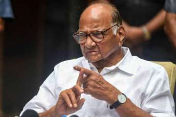 'Too much importance' given to Kangana's PoK remark: NCP chief Sharad Pawar 