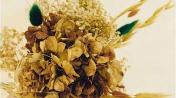 Vastu Tips: Dried flowers are inauspicious if kept at home. Know why