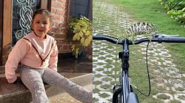 MS Dhoni's daughter Ziva makes new friend in the garden and it's a chameleon! Watch videos