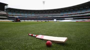 A generic image of cricket bat and ball