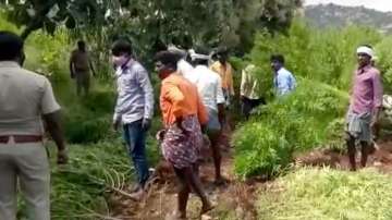 4-acre marijuana farm unearthed in Karnataka, 9,872 kg of ganja seized