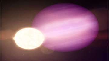 Big find! Jupiter-sized planet found orbiting a dead white dwarf star