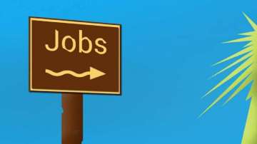 Bengaluru, Hyderabad lead in contract job opportunities: Survey