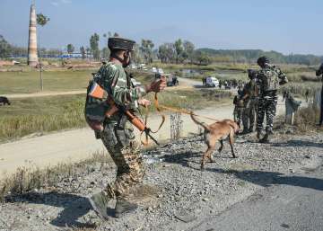 Army JCO killed in Pakistan shelling along LoC in Jammu and Kashmir's Rajouri