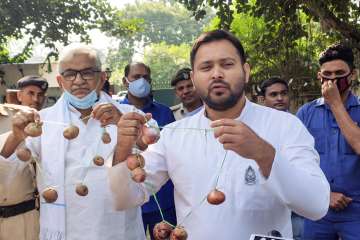 mehengai dayan now bhaujai for bjp, tejashwi yadav, tejashwi yadav pokes fun at bjp, onion prices, p