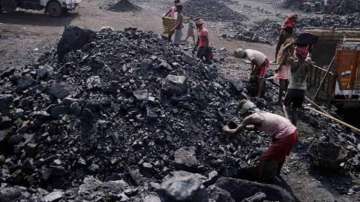 CIL's coal allocation to power sector under e-auction rises 8 per cent in Apr-Aug