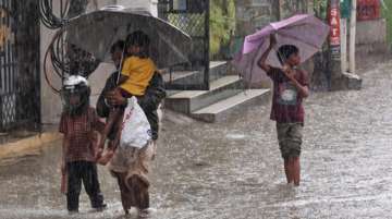 Andhra Pradesh heavy rains