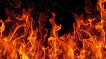 Kolkata: Fire breaks out at Salt Lake Durga Puja pandal