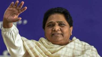 MP bypolls: BSP confident of emerging as 'kingmaker'