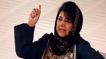 Mehbooba Mufti says will continue struggle for restoration of Article 370, resolution of Kashmir issue