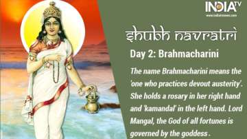 Happy Navratri 2020 Day 2: Worship Goddess Brahmacharini; Know Significance, Puja Vidhi, Mantra and 