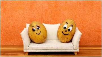 Being couch potato actually sharpens your brain: Study