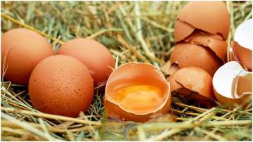 World Egg Day: Experts highlight importance of eggs to boost immunity 