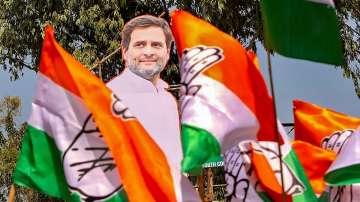 Life-size cutout of Congress leader Rahul Gandhi put on displayed during Kheti Bachao Yatra against 