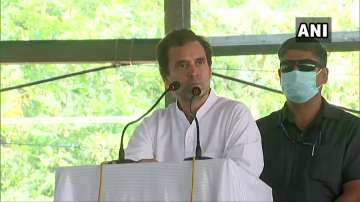 I give you guarantee Cong will scrap the three 'black laws' if voted to power: Rahul Gandhi to farme