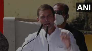 Rahul Gandhu has accused PM Modi and CM Nitish Kumar of not heling the migrants when they were being chased away from other states