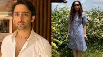 Did TV actor Shaheer Sheikh make his relationship with Ruchikaa Kapoor official? Check out