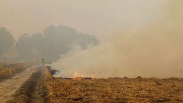 Stubble burning, Supreme Court