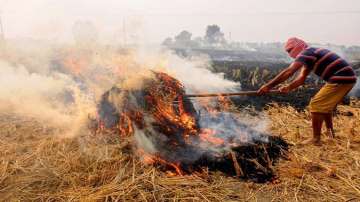 At 40 per cent, stubble burning contribution in Delhi's pollution soars to season's high