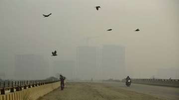 air pollution