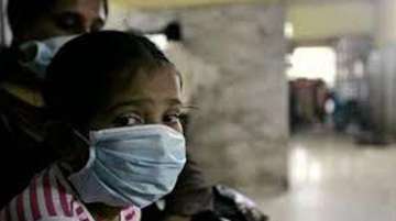 dengue cases in delhi