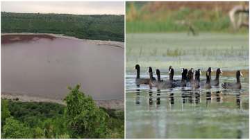 Maharashtra's Lonar lake and Agra's Sur Sarovar added to list of recognised sites under Ramsar Conve