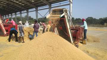 Amidst farmers' agitation, govt procures 50 LMT more paddy on MSP