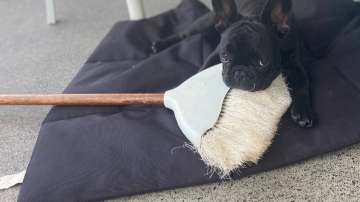 Keep these things in mind before sweeping the house with broom in the evening