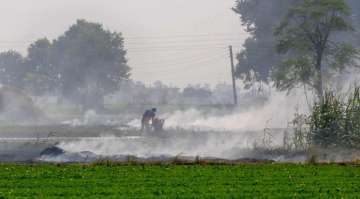 Stubble burning up 44.5% in Punjab, 25% down in Haryana