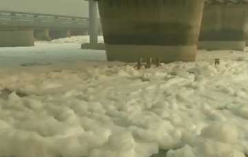 yamuna river toxic foam, toxic foam yamuna river, yamuna toxic foam, yamuna, yamuna river delhi, del