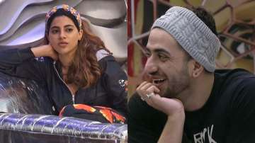 Bigg Boss 14 December 22 LIVE Updates: Will Nikki Tamboli confess her feelings for Aly Goni?