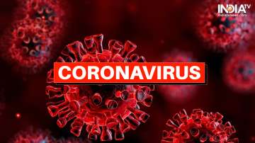 india coronavirus